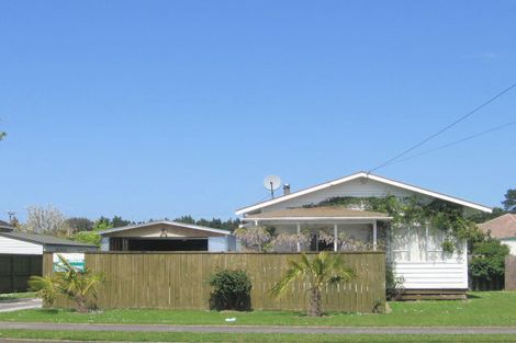 Photo of property in 17 Cureton Street, Morrinsville, 3300
