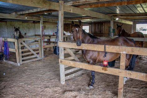 Photo of property in 64b Moumoukai Road, Hunua, Papakura, 2583