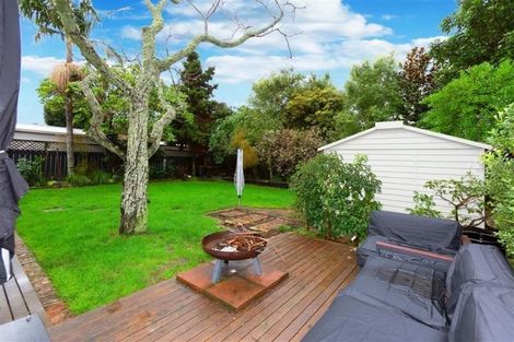 Photo of property in 24 Francis Street, Grey Lynn, Auckland, 1021