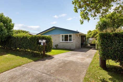 Photo of property in 59 The Drive, Brookfield, Tauranga, 3110