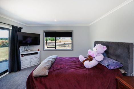 Photo of property in 269 Hoihere Road, Tiakitahuna, Palmerston North, 4477