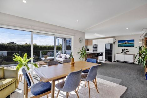 Photo of property in 14 Skinner Street, Blagdon, New Plymouth, 4310