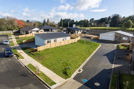 Photo of property in 44 Parau Drive, Bethlehem, Tauranga, 3110