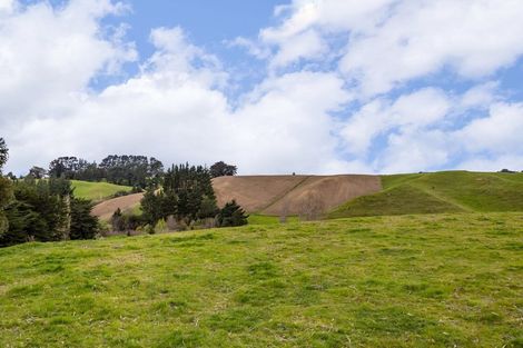 Photo of property in 48 Norsewood Ormondville Road, Norsewood, 4974