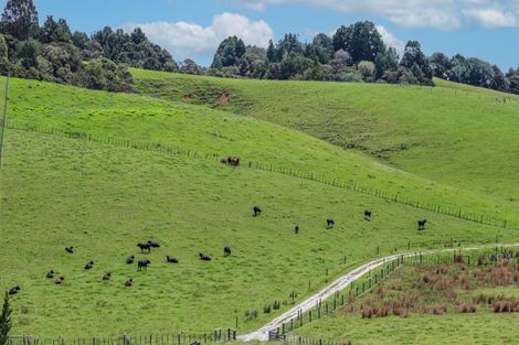 Photo of property in 76 Wyllie Road, Warkworth, 0981