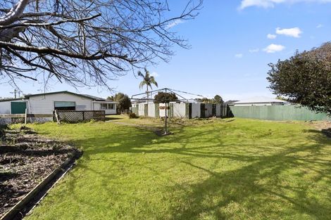 Photo of property in 53 Bailey Street, Huntly, 3700