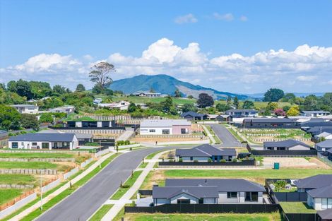 Photo of property in 197 Nicholson Avenue, Te Awamutu, 3800