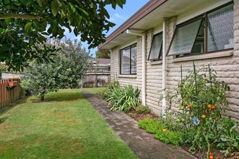 Photo of property in 44 Burwood Road, Matamata, 3400