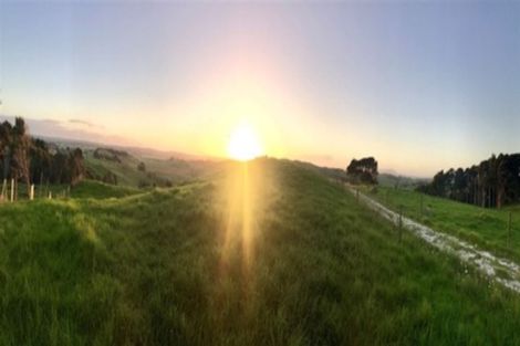 Photo of property in 176 Morrison Road, Arapohue, Dargaville, 0374