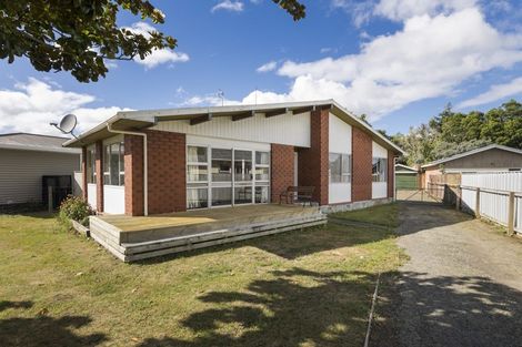 Photo of property in 103 Wyndham Street, Ashhurst, 4810