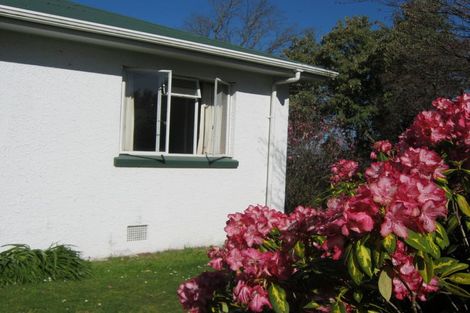 Photo of property in 17 Taylor Street, Geraldine, 7930