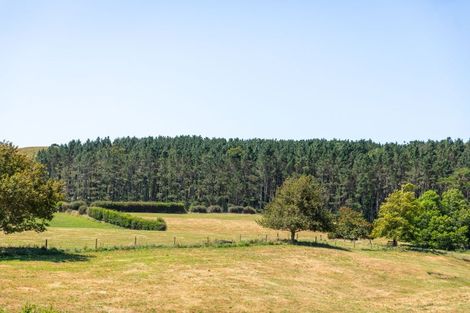 Photo of property in 546 Trig Road, Waihi, 3681