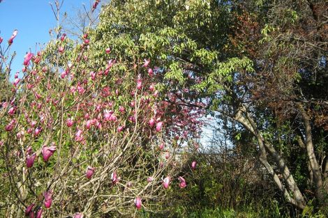 Photo of property in 17 Taylor Street, Geraldine, 7930