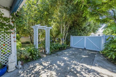 Photo of property in 19 Douglas Street, Levin, 5510