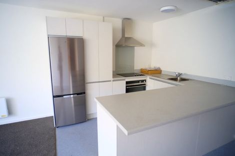 Photo of property in Te Awhina Apartments, 9/22 Sussex Street, Mount Cook, Wellington, 6021