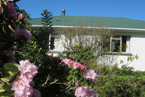 Photo of property in 17 Taylor Street, Geraldine, 7930