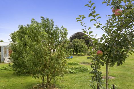 Photo of property in 255 Old Taupo Road, Putaruru, 3481