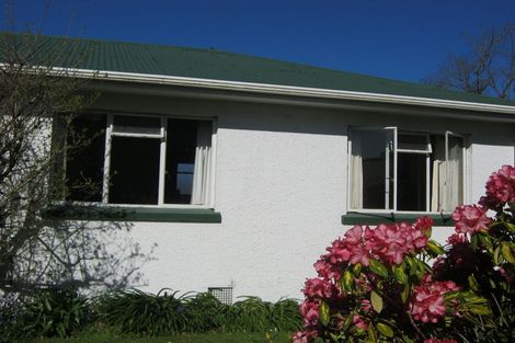 Photo of property in 17 Taylor Street, Geraldine, 7930