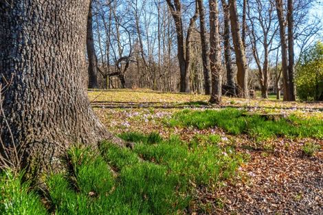 Photo of property in 2072 Homebush Road, Coalgate, Darfield, 7571