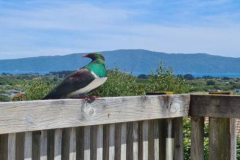 Photo of property in 9 Amokura Street, Waikanae, 5036