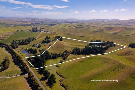 Photo of property in 317 Caseys Road, Blind River, Seddon, 7285