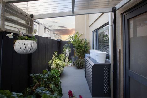 Photo of property in 438f Tristram Street, Whitiora, Hamilton, 3200