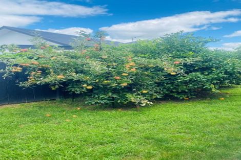 Photo of property in 43 Tulip Drive, Cambridge, 3434