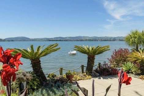 Photo of property in 5a Sixth Avenue, Tauranga, 3110