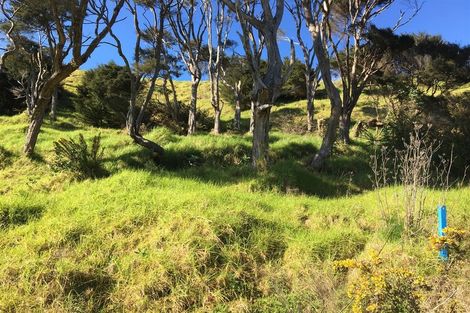 Photo of property in 17 Te Mata Drive, Te Mata, Thames, 3575