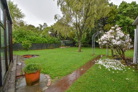 Photo of property in 14 King Street, Carterton, 5713