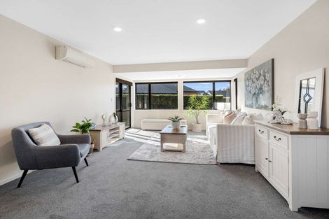 Photo of property in Liffey Village, 29/28 James Street, Lincoln, 7608