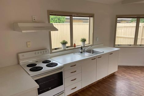 Photo of property in 209c Killarney Road, Frankton, Hamilton, 3204