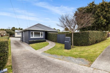 Photo of property in 44 Bellevue Road, Brookfield, Tauranga, 3110