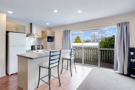 Photo of property in 17a Carey Street, Maeroa, Hamilton, 3200