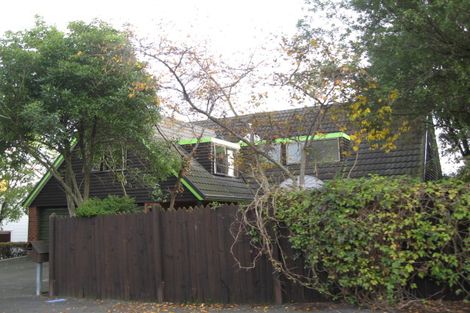 Photo of property in 31 Warden Street, Opoho, Dunedin, 9010