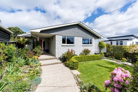 Photo of property in 11 Braeburn Street, Vauxhall, Dunedin, 9013