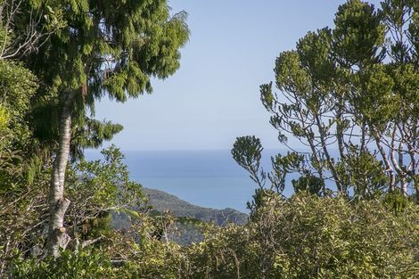 Photo of property in 28 La Trobe Track, Karekare, Auckland, 0772