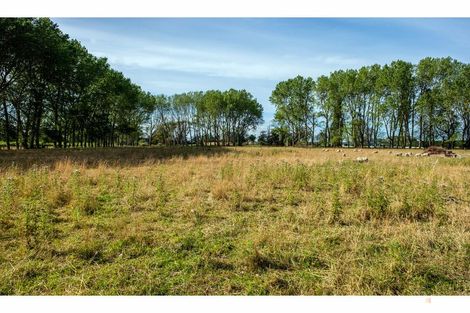 Photo of property in 116 Manchesters Road, Waimate, 7980