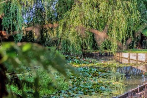 Photo of property in 99 Jess Road, Whakamarama, Tauranga, 3172