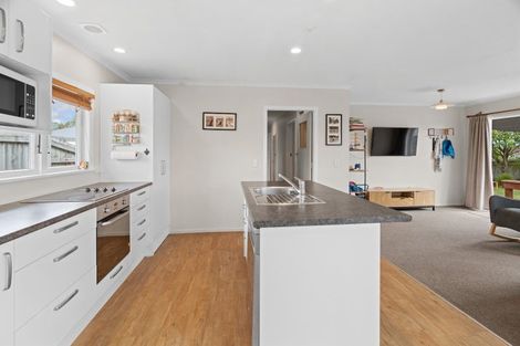 Photo of property in 3 Linden Court, Richmond, 7020