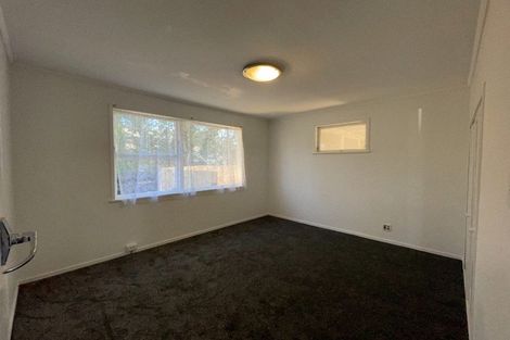 Photo of property in 58 Universal Drive, Henderson, Auckland, 0610
