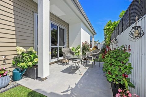 Photo of property in 26 Higgins Street, Marewa, Napier, 4110