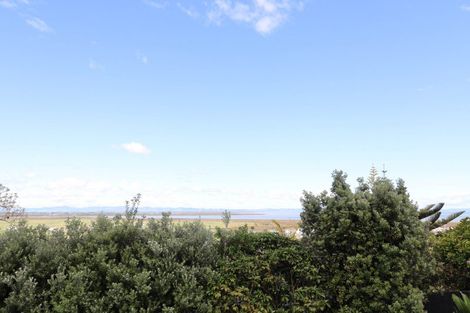 Photo of property in 131 Brunton Crescent, Thames, 3500