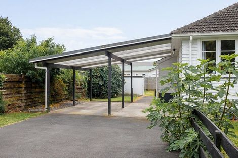 Photo of property in 13 Nixon Street, Hamilton East, Hamilton, 3216