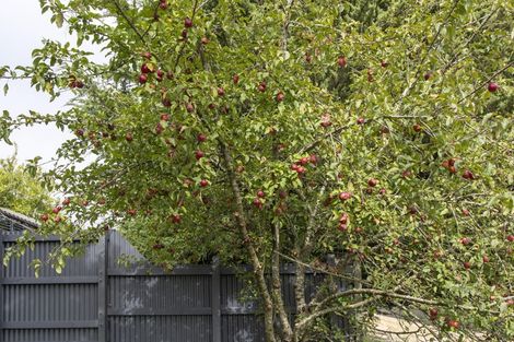 Photo of property in 79 Ronaldsay Street, Palmerston, 9430