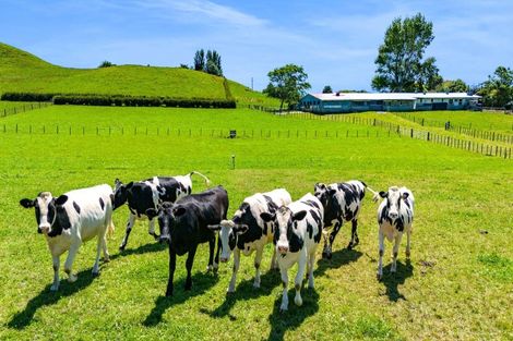 Photo of property in 12 Toko Road, Toko, Stratford, 4392