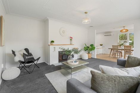 Photo of property in 3 Jason Street, Helensburgh, Dunedin, 9010