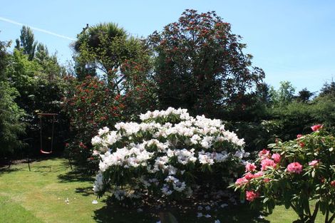 Photo of property in 158 Coach Road, Orari, Geraldine, 7992