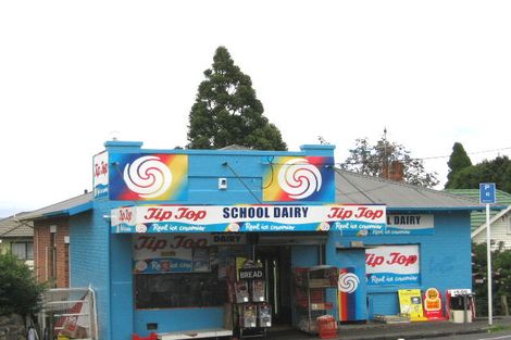 Photo of property in 111a Richardson Road, Mount Albert, Auckland, 1025