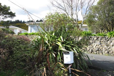 Photo of property in 45 Peel Place, Wainuiomata, Lower Hutt, 5014
